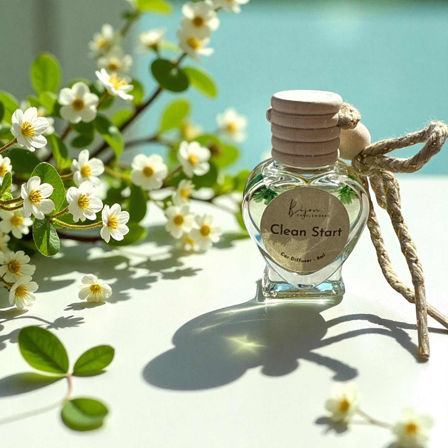 CAR DIFFUSER COLLECTION